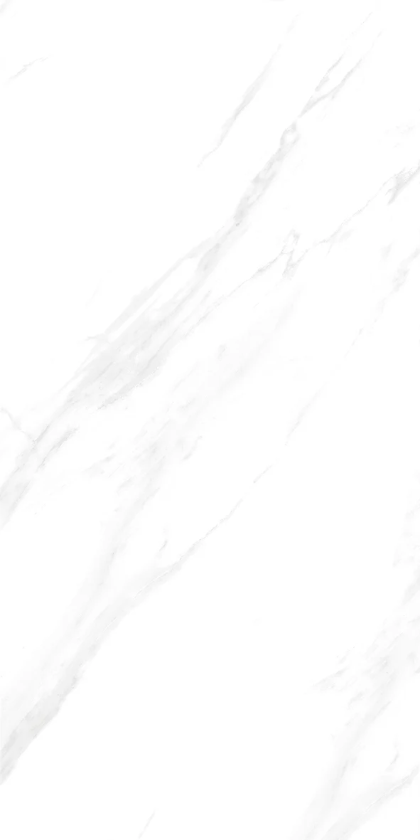 face 6